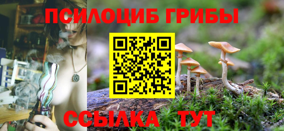 Галлюциногенные грибы Cubensis Камень-на-Оби